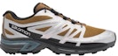Sizing Salomon XT-Wings 2 ADV 'Silver-Brown' L41251600