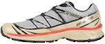 Buy 살로몬 XT-6 '알로이 사파리 고지베리' (Salomon XT-6 'Alloy Safari Goji Berry') 417086