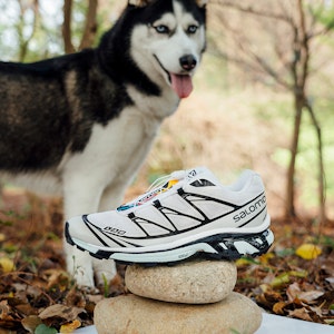 Salomon XT-6 '白色冰晨' 413173 2