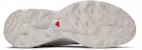 Salomon XT-6 Advanced 'Putih Lunar Batu' 412529/L41252900
