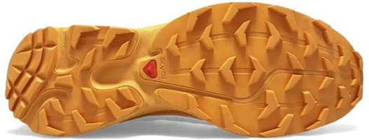 Purchase Salomon XT-6 FT 'Vanilla Buckskin' 471514