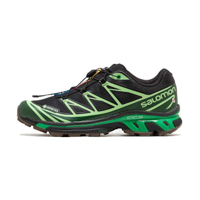 Salomon XT-6 GTX 'Black Eden Green Ash'