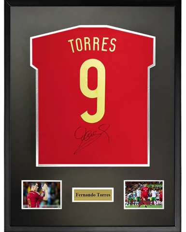sanwei-fernando-torres-2014-spain-signed-jersey-framed-with-sa-certificate-sw-24-q2125