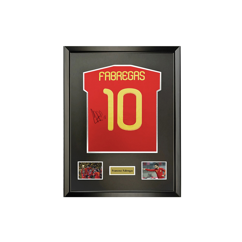 Sanwei Cesc Fabregas Signed Spain Jersey 2010 World Cup Framed with SA Certificate 6752084
