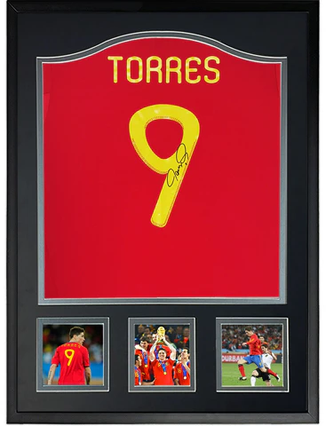 sanwei-fernando-torres-signed-spain-jersey-2010-world-cup-framed-with-sa-certificate-sw-24-q2123
