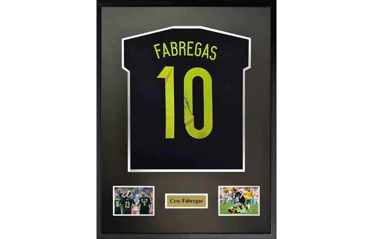 Sanwei Signed Cesc Fabregas 2014 Spain Away Jersey Framed with SA Certificate. SW23Q4249