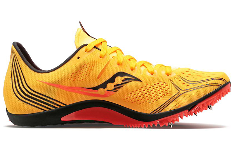 Order サッカニー エンドルフィン3 「金輝」 (Sokani- Endorufin 3 "Kinki") S29070-16