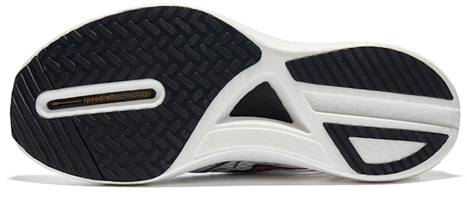 サッカニーエンドルフィンプロ3 白金疾走 (Sakkani Endorufin Puro 3 Hakkin Shissou) S20755-13 Purchase サッカニーエンドルフィンプロ3 白金疾走 (Sakkani Endorufin Puro 3 Hakkin Shissou) S20755-13