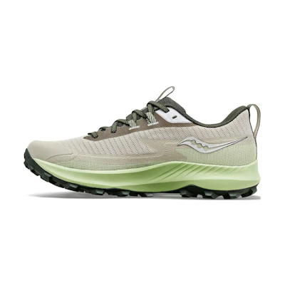 Saucony Peregrine 13 GORE-TEX 'Dust Umbra'