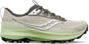 Order Saucony Peregrine 13 GORE-TEX 'Dust Umbra' S20841-30