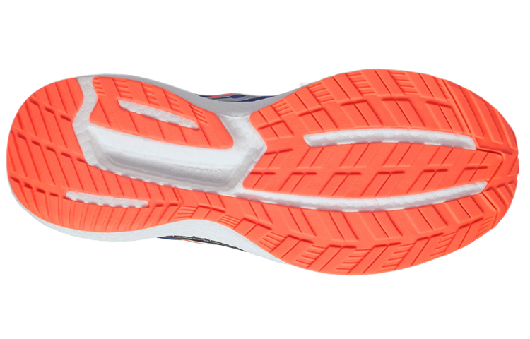 Shop サッカニー トライアンフ19 "サファイアVZ" S20678-16