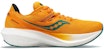 Saucony Triumph 20 'Emas Palma' S20759-30