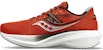 Saucony Triumph 20 'Lava Fossil' Lelaki Kasut Sukan S20759-25