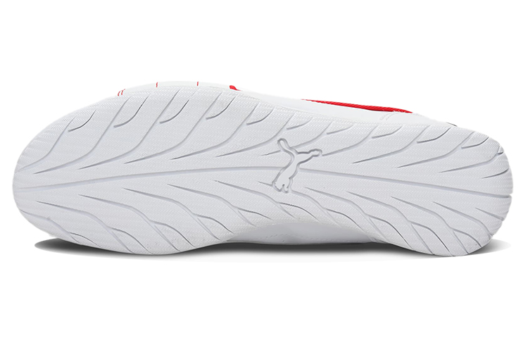 Purchase Scuderia Ferrari x Puma Neo Cat Motorsport ''Wit'' 307019-02