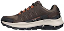 Buy 斯凯奇Equalizer 5.0 Trail-Solix“棕色户外低帮” 237501-BROR