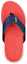 Shop Skechers Go Consistent 'Blue Red' 229035-NVRD