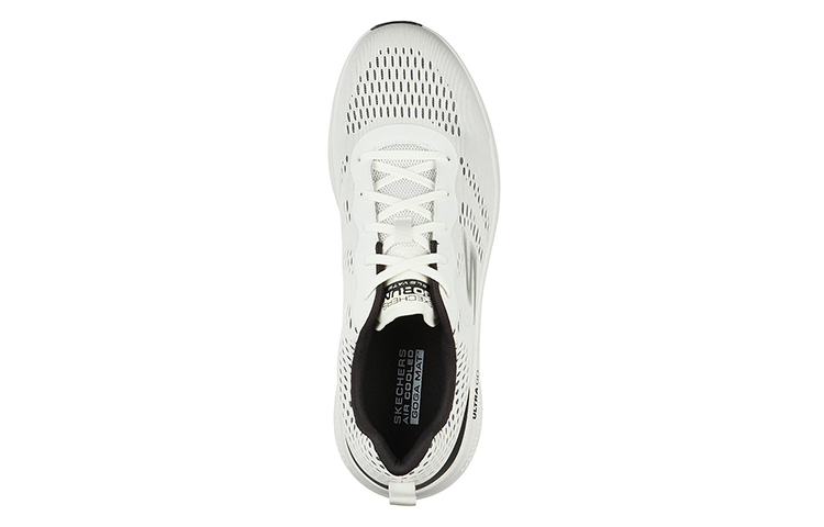 Shop Skechers GO RUN Elevate 'Hitam Putih' 220184-WBK