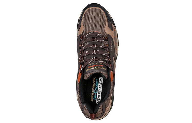 Shop Skechers Terrabite-Crossroad 低筒戶外鞋 棕色