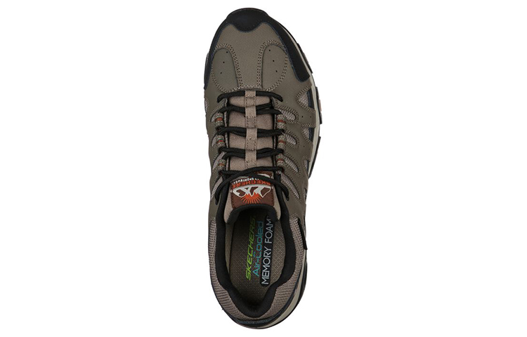 Shop Skechers Terrabite 'Brown Black Outdoor' 51847-BRBK