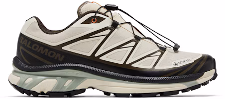 Buy Sneakersnstuff x Salomon XT-6 GORE-TEX 'Almond Milk Seagrass' Sepatu L47792800