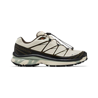 SNS Salomon XT-6 GORE-TEX 'Almond Milk Seagrass'