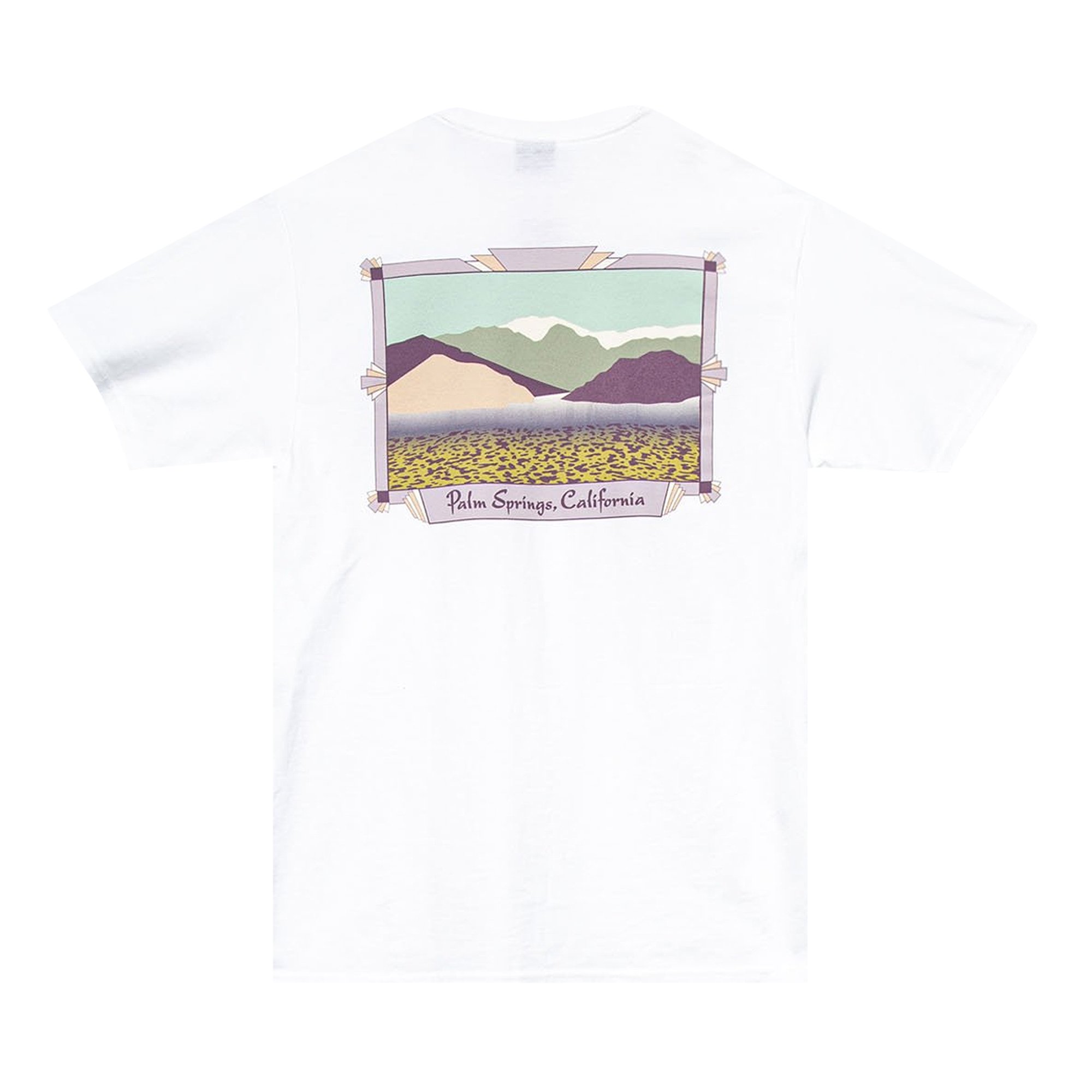 Stüssy Palm Springs Tee White 圖 2