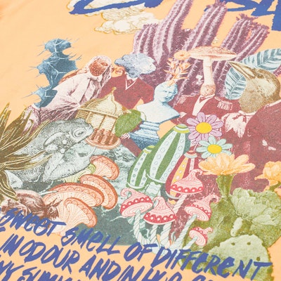 Stüssy Psychedelic Tee Peach Lookbook Stüssy Psychedelic Tee Peach