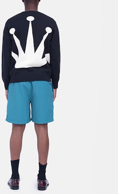 Stüssy Stussy Stock Water Shorts Logo Print Retro Casual Sports Shorts. 113103 10