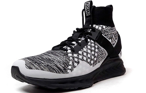 Lookbook Staple x Puma Ignite Evoknit "灰色" 364047-01