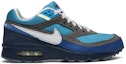Buy Stash x Nike Air Classic BW 'Stash' 307253-401