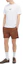 Lookbook STONE ISLAND Casual Solid Elastic Straight Shorts Dark Brown 8015B0943-V0013