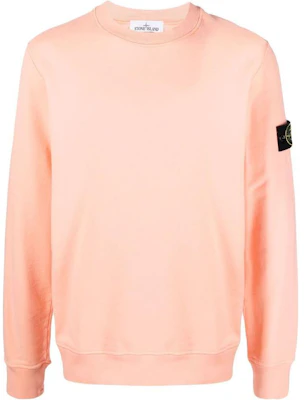 STONE ISLAND FW22 米色徽章Logo貼布圓領長袖上衣 771563020-V0083 Buy STONE ISLAND FW22 米色徽章Logo貼布圓領長袖上衣 771563020-V0083