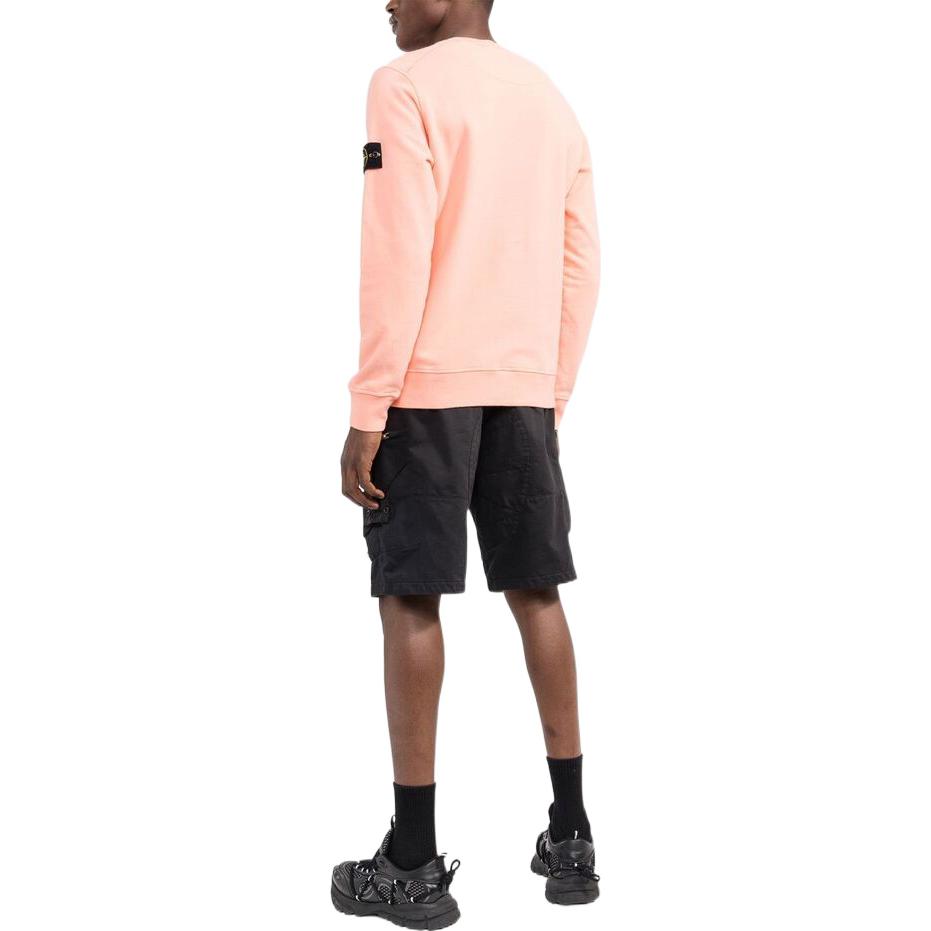 Shop STONE ISLAND FW22 米色徽章Logo貼布圓領長袖上衣 771563020-V0083