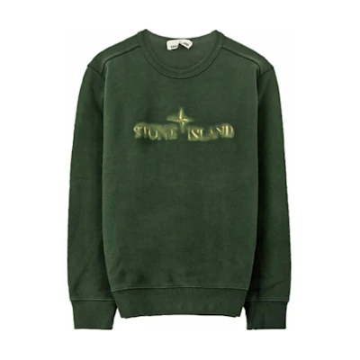 Stone Island Green Crewneck Sweatshirt with Letter Print for Men 711562790-V0057