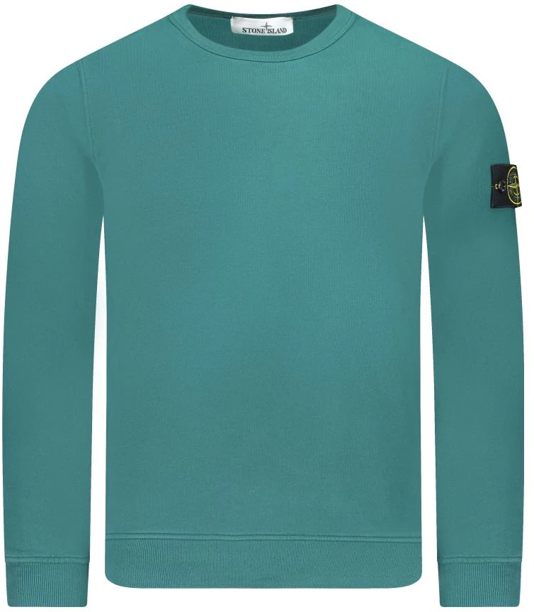stone-island-green-solid-color-crewneck-long-sleeve-sweatshirt-791562420-v0057