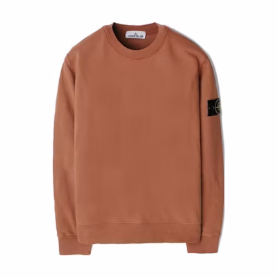 Stone Island Rust Color Embroidered Logo Crewneck Oversized Sweatshirt 801563051-V0013