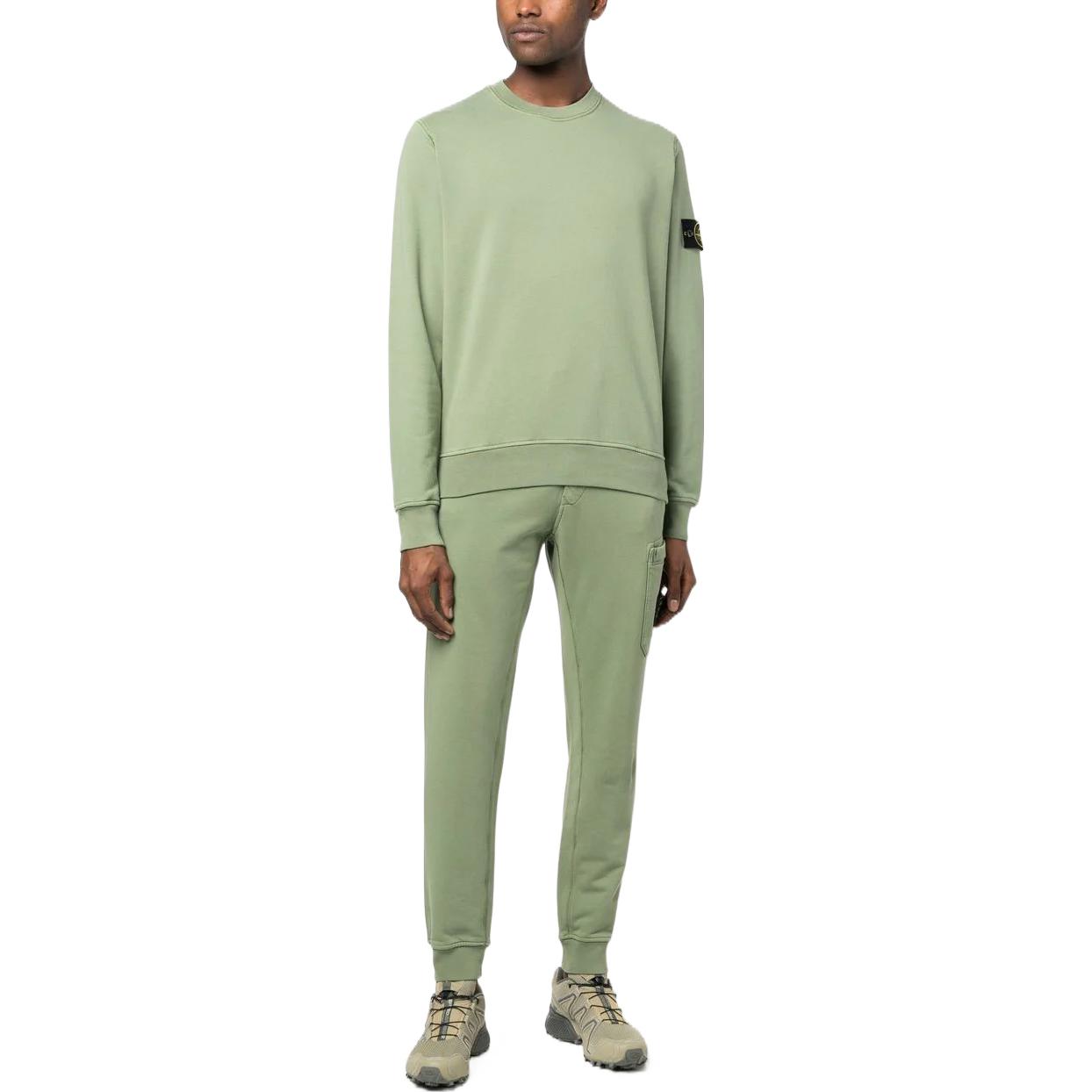 Stone Island SS23 Badge Solid Crewneck Long Sleeve Sweatshirt Green . 101563051-V0055 圖 3