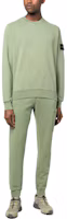 Lookbook Stone Island SS23 Badge Solid Crewneck Long Sleeve Sweatshirt Green . 101563051-V0055
