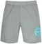 Order STONE ISLAND SS23 Logo Embroidered Casual Shorts Men’s Grey. 7815B0948-V0041