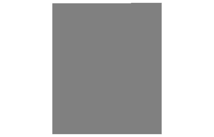 Order スチュアート ワイツマン グレー PRE_44 スチュアート ワイツマン グレー PRE_ S6102SHL_SV5