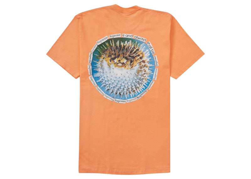 Supreme Blowfish Tee Peach