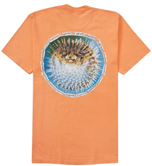 supreme-blowfish-tee-peach