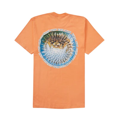 Supreme Blowfish Tee Peach