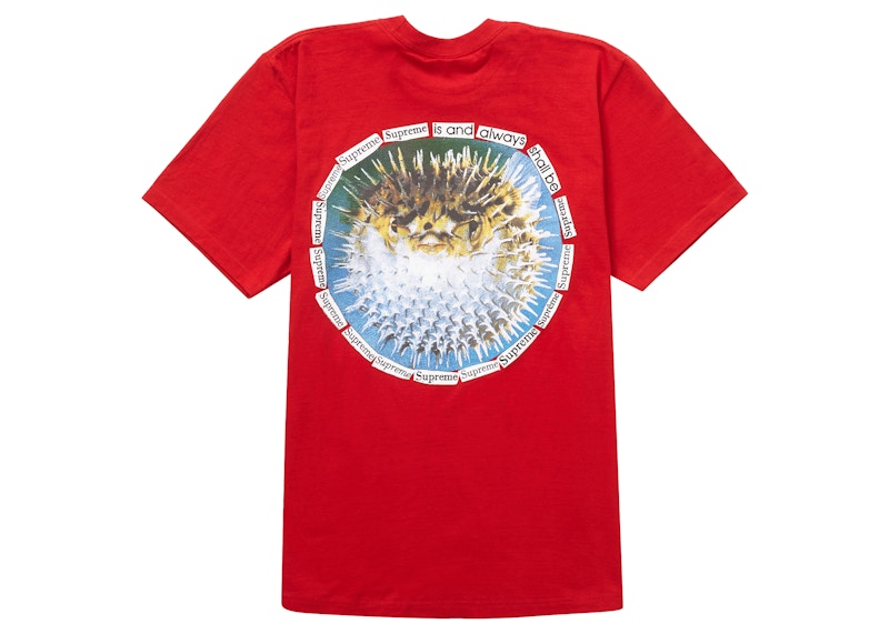 Supreme Blowfish Tee Red