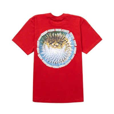 Supreme Blowfish Tee Red