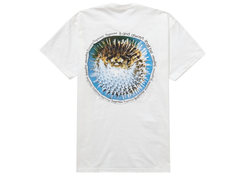 Supreme Blowfish Tee White