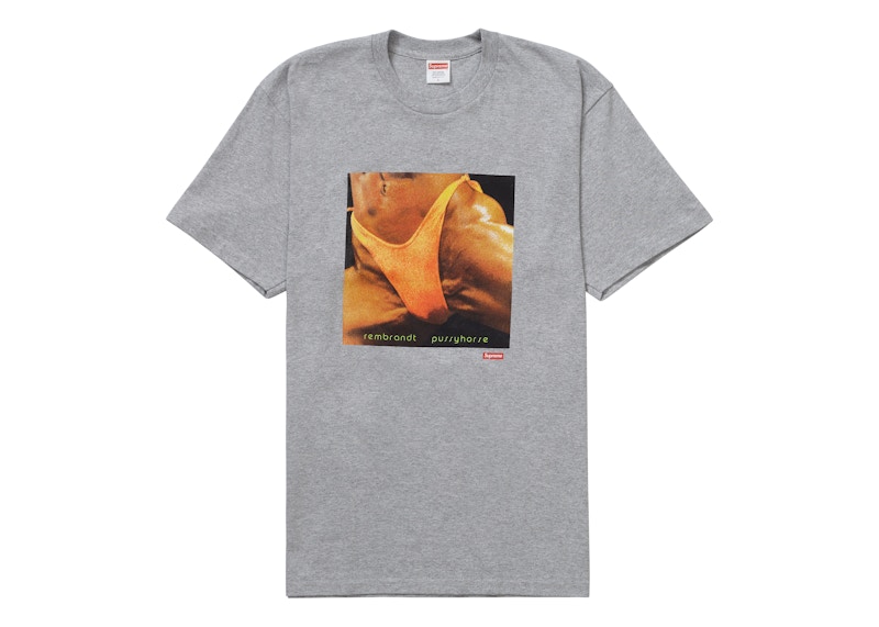 Buy Supreme x Butthole Surfers コラボT (レンブラント) ヘザーグレー
