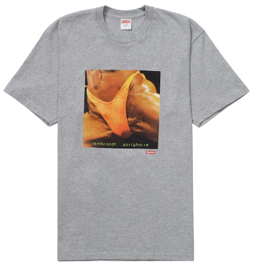supreme-butthole-surfers-rembrandt-pussyhorse-tee-heather-grey