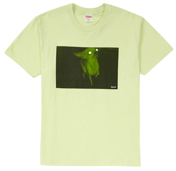 supreme-chris-cunningham-chihuahua-tee-pale-mint