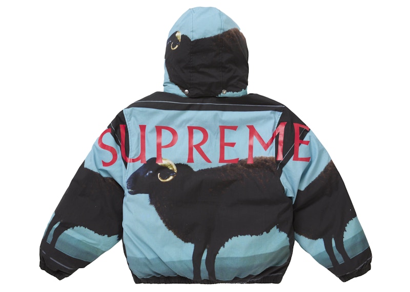 Lookbook Supreme 达米恩·赫斯特羽绒夹克 黑色